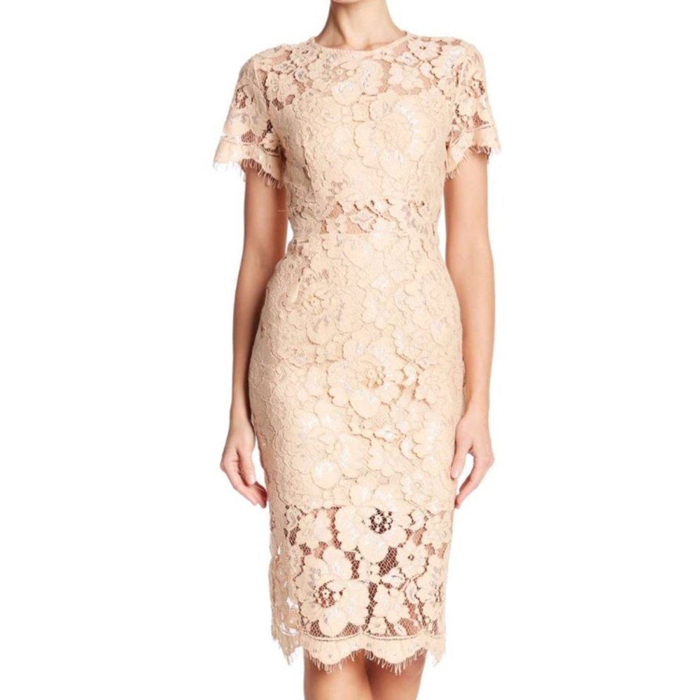 Short Sleeve Lace Fitted Midi Dress
